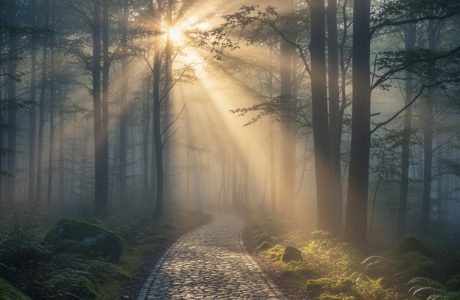 Trusting God in Uncertain Times